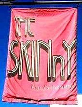 exterior of skinNY lounge